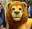 My Free Zoo