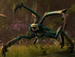 Image du jeu The Elder Scrolls Online 1398018718 the-elder-scrolls-online
