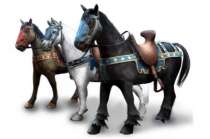 ArrivÃ©e des chevaux sur DrakenSang Online