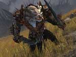 Image du jeu Guild wars 2 1347257431 guild-wars-2