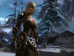 Image du jeu Guild wars 2 1347257445 guild-wars-2