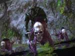 Image du jeu Guild wars 2 1347257460 guild-wars-2